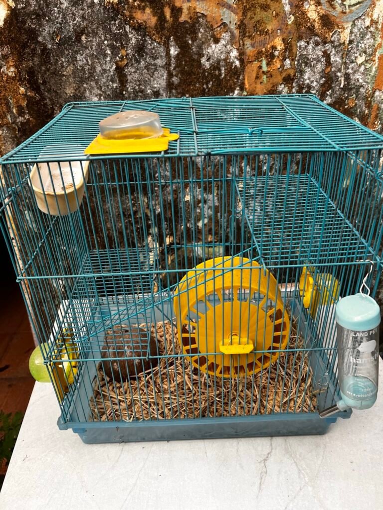 Gaiola para hamster 3 níveis completa, foto 2 de 6
