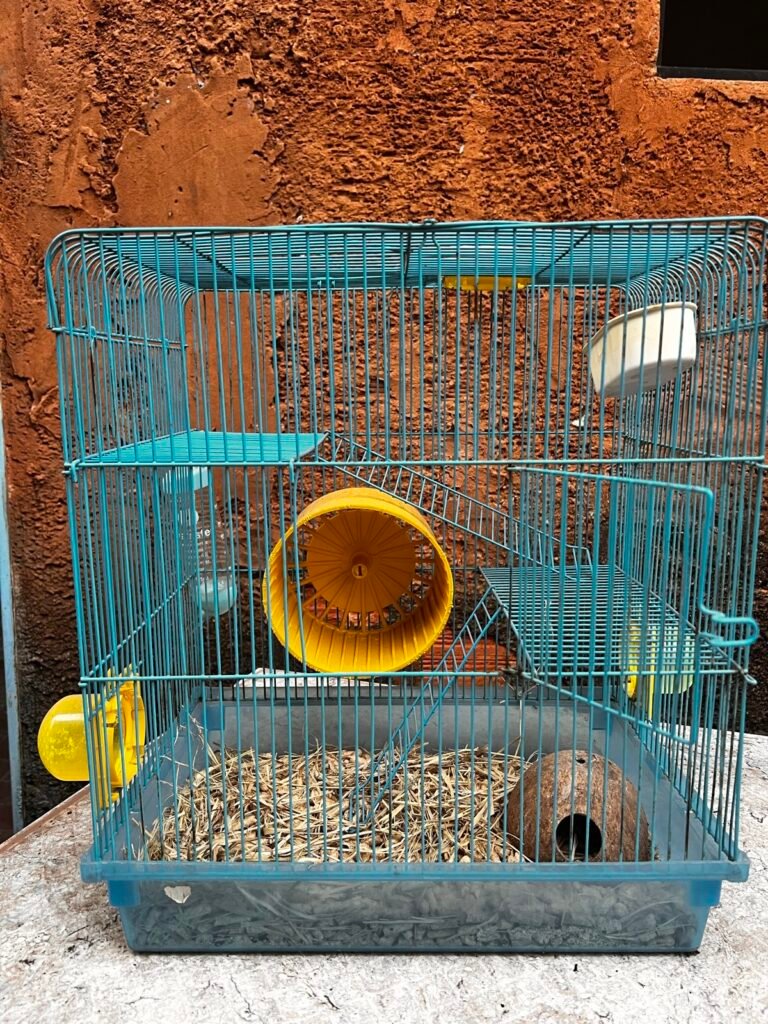 Gaiola para hamster 3 níveis completa, foto 3 de 6