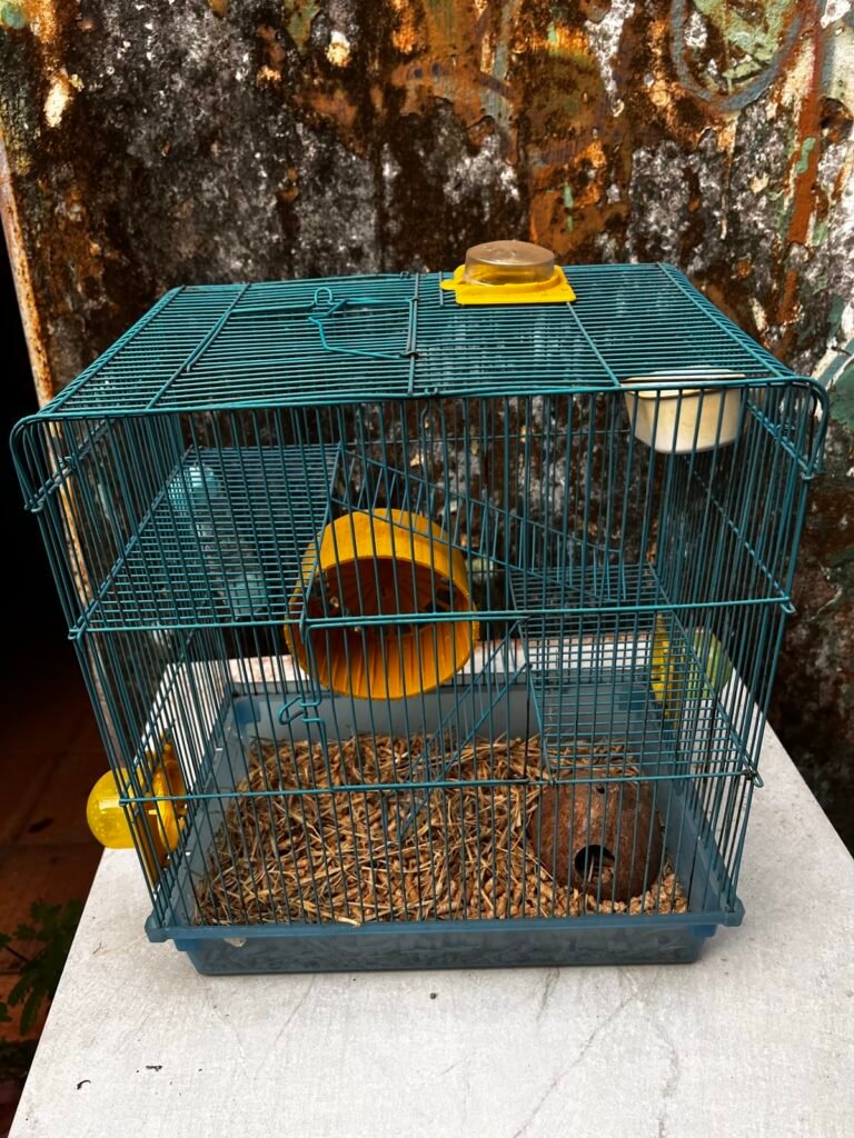 Gaiola para hamster 3 níveis completa, foto 4 de 6