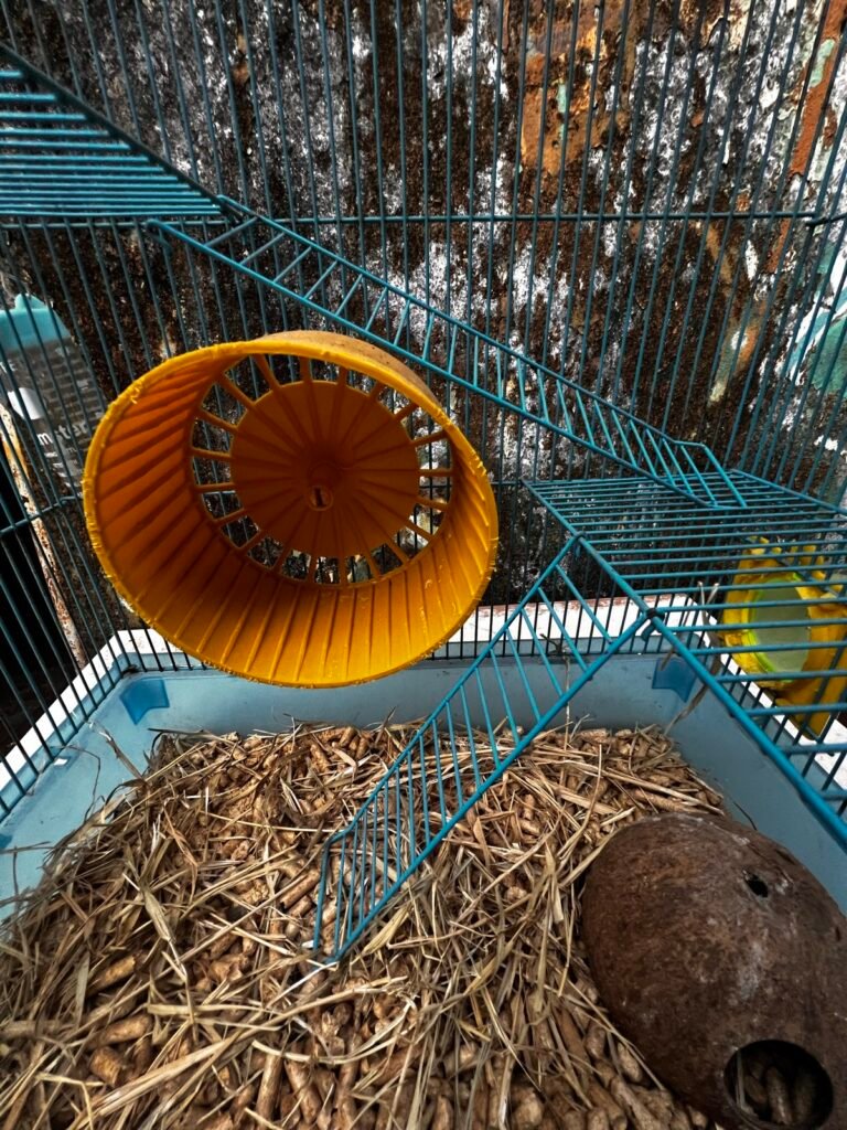 Gaiola para hamster 3 níveis completa, foto 5 de 6