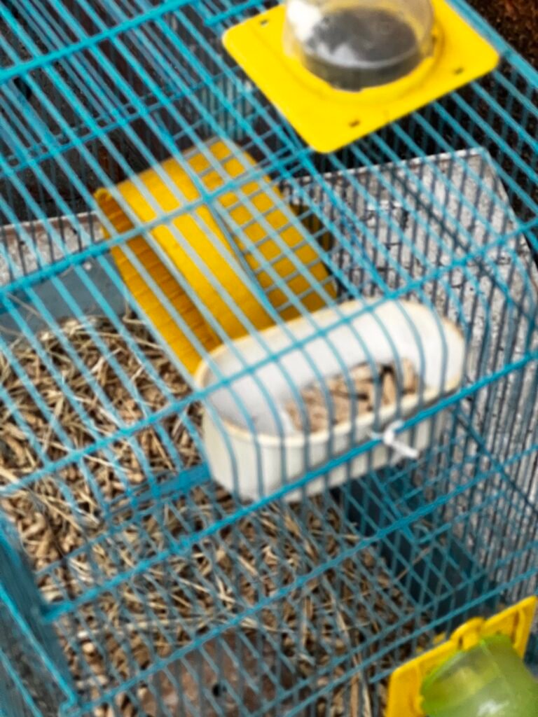 Gaiola para hamster 3 níveis completa, foto 6 de 6